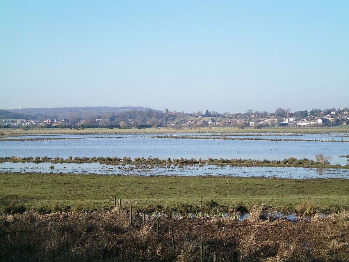 Pulborough Brooks