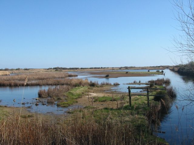 Lodmoor