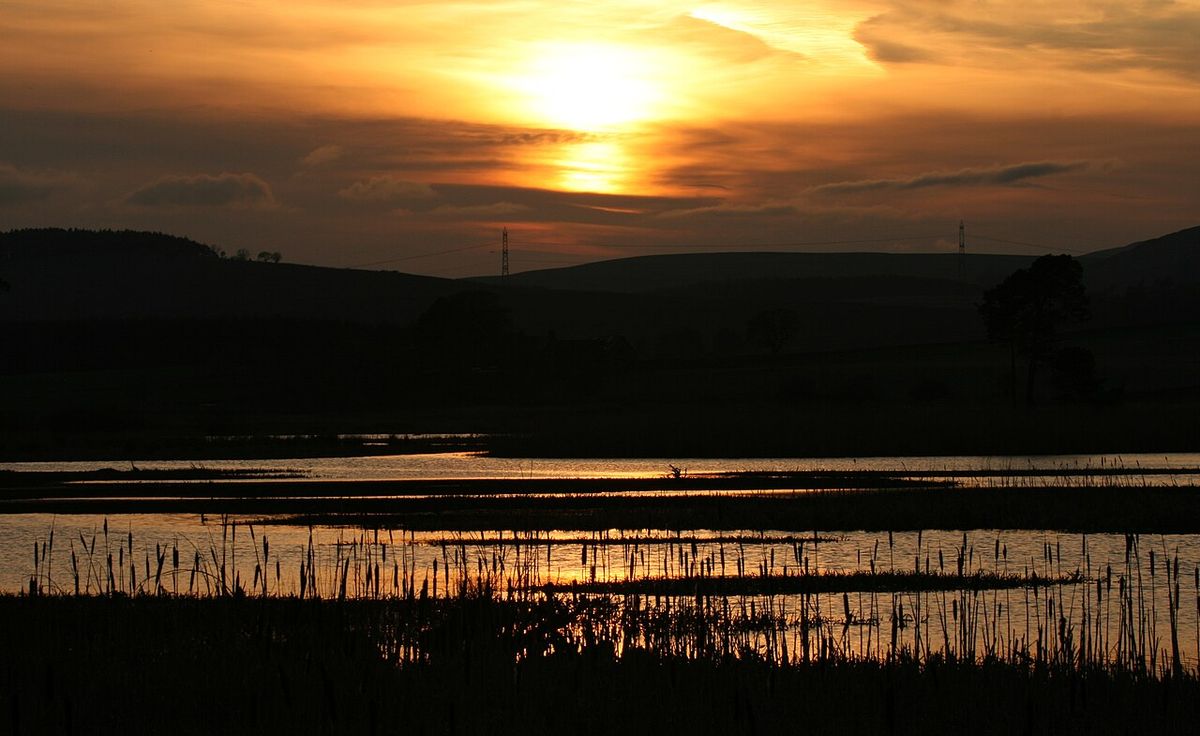 Loch of Kinnordy