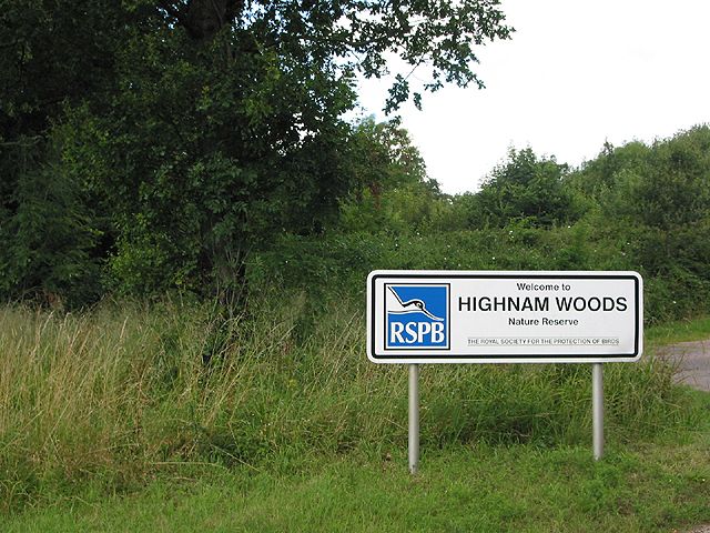 Highnam Woods