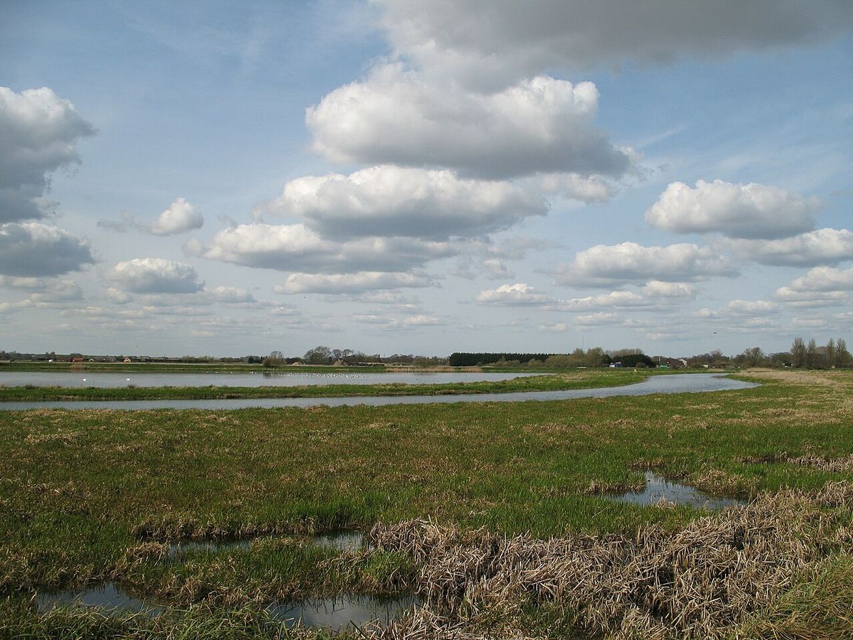 Lakenheath Fen