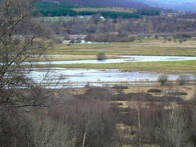 Insh Marshes
