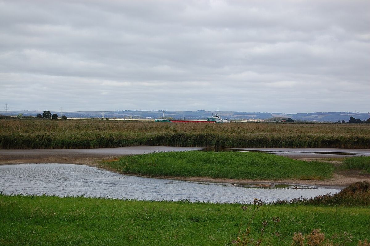 Blacktoft Sands