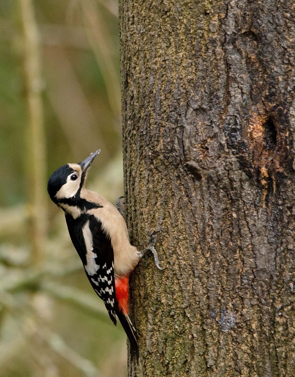 WWT Washington