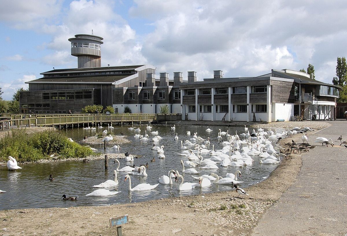 WWT Slimbridge