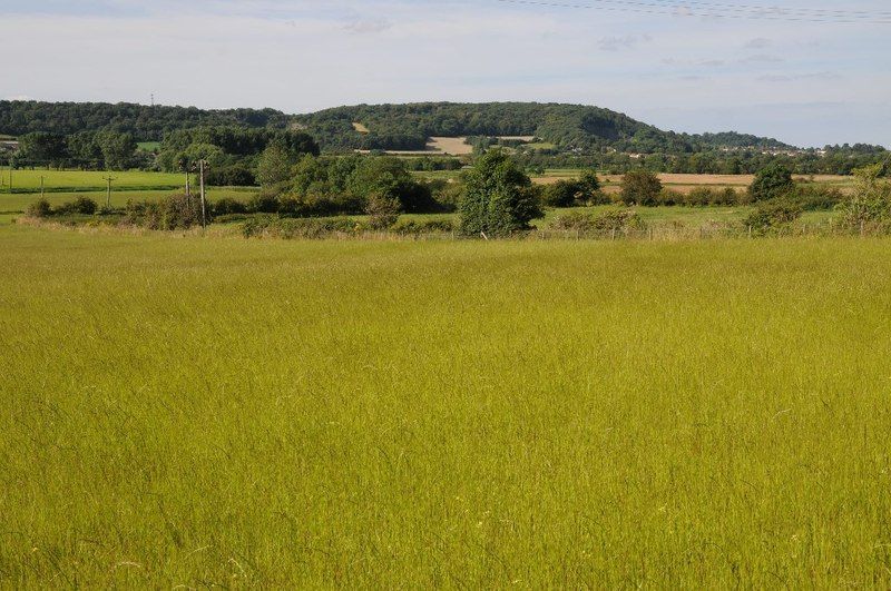 Clapton Moor