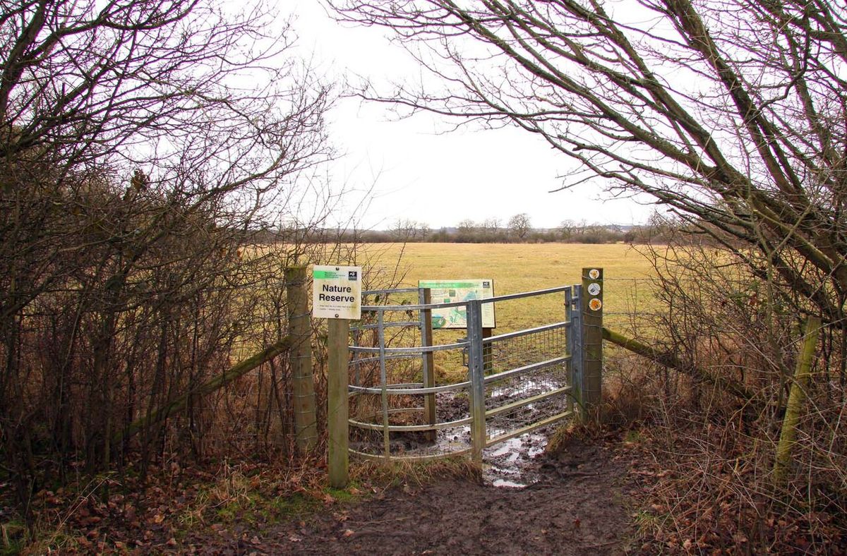 Bernwood Meadows