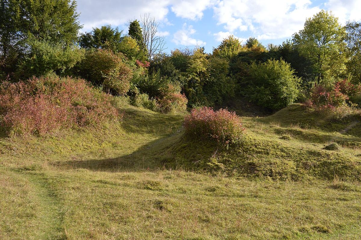 Aston Clinton Ragpits