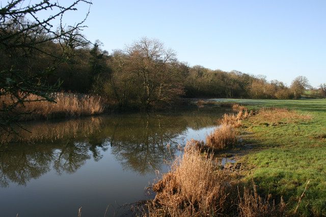 Girdlers Coppice