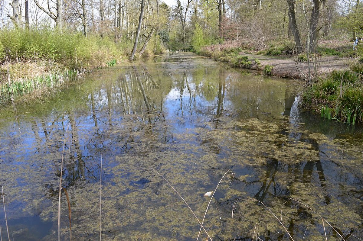 Aubrey Buxton Nature Reserve