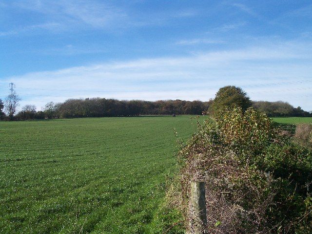 Arle Grove