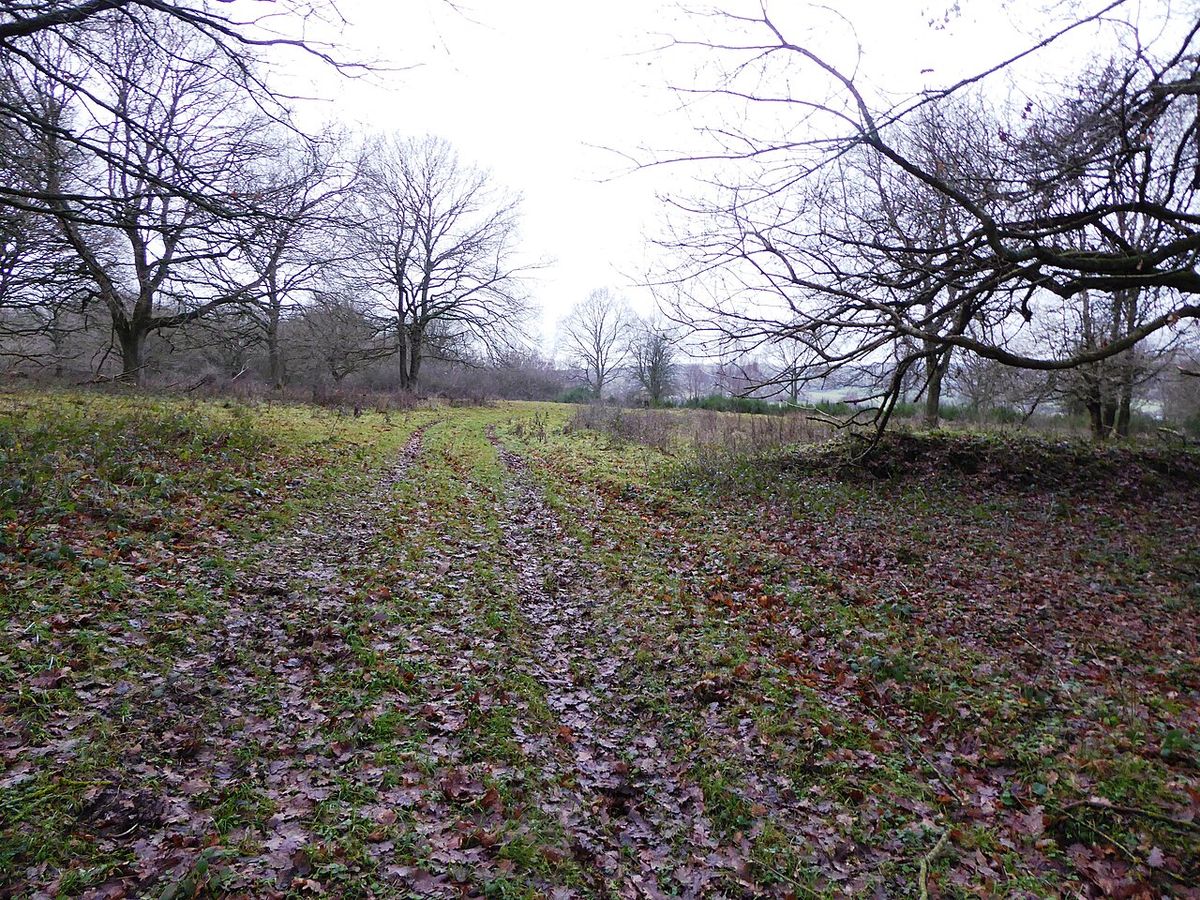 Broadham Down