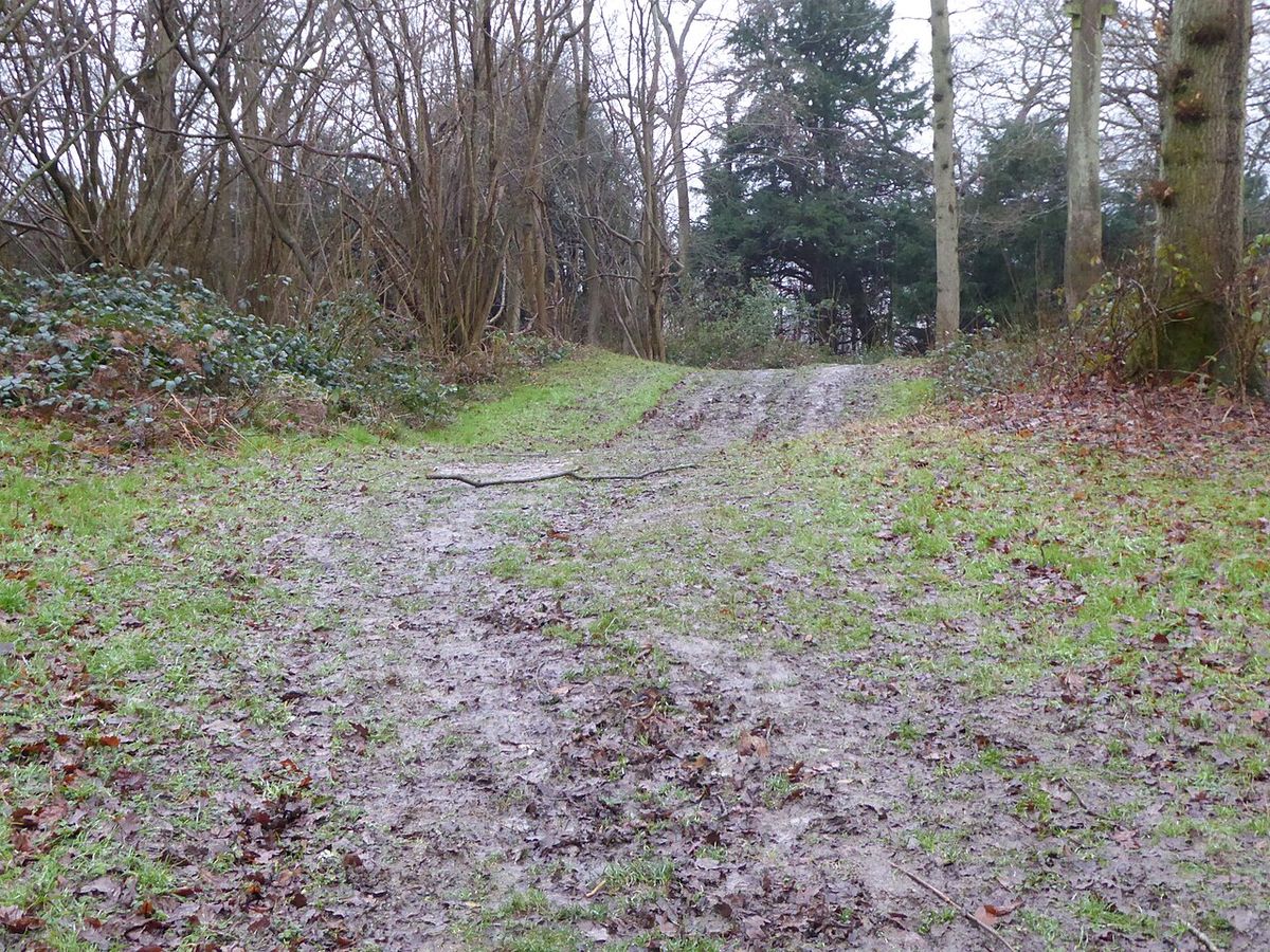 Kemsing Down