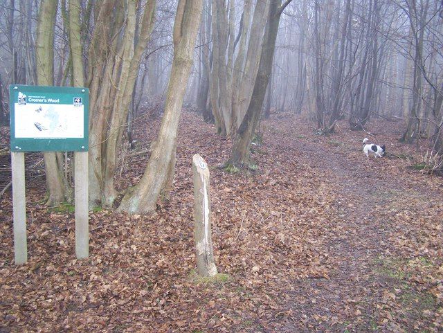Cromers Wood