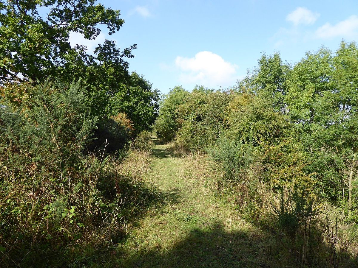 Cribb's Meadow