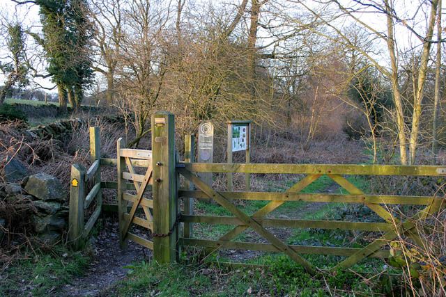 Charley Woods