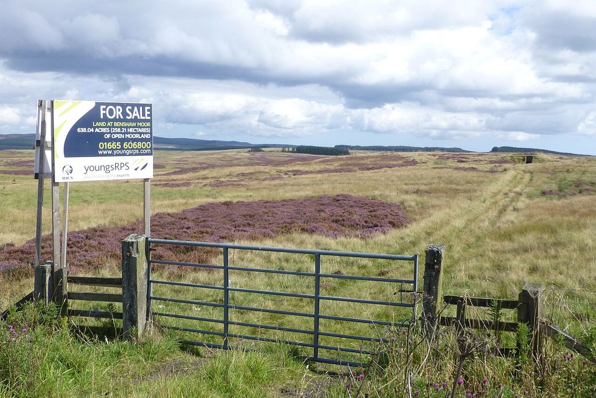 Benshaw Moor