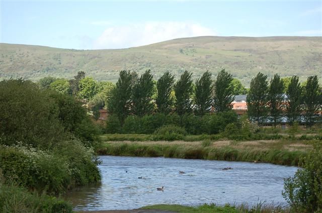 Bog Meadows