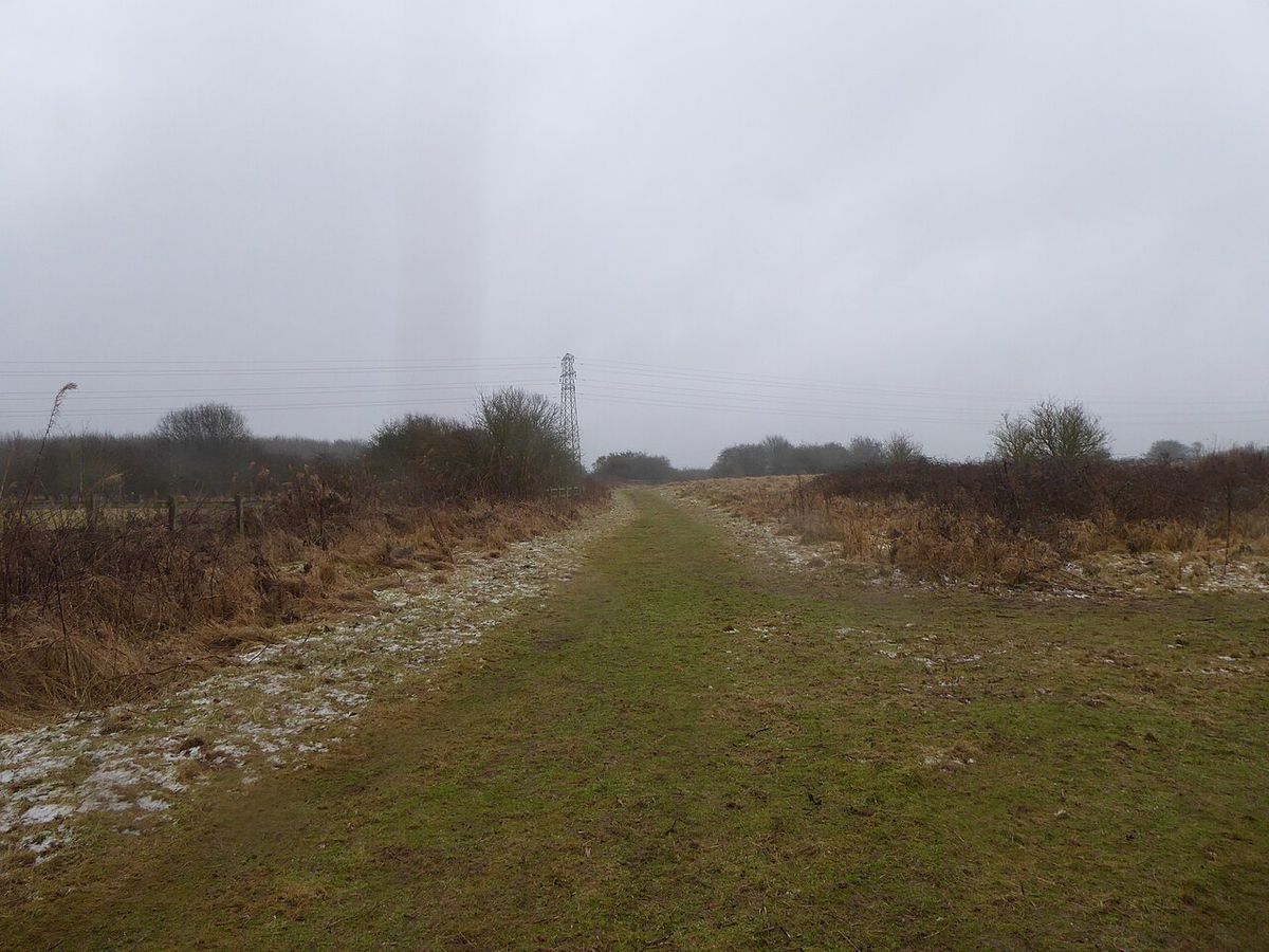Barford Wood and Meadows