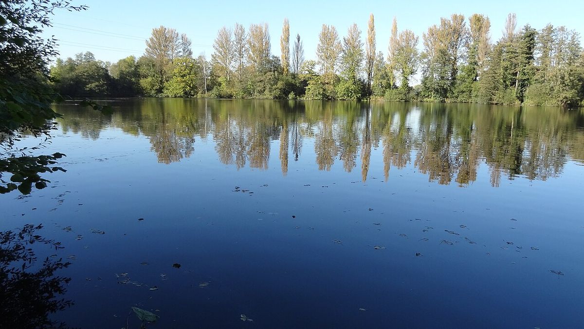 Denham Lock Wood
