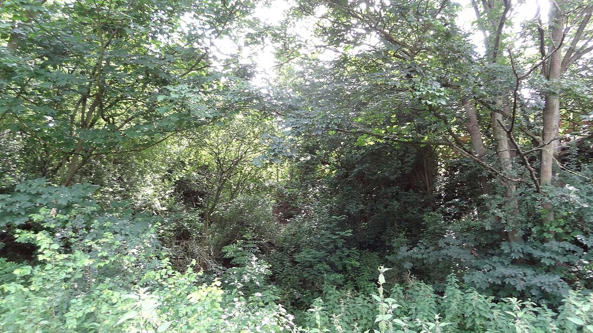 Braeburn Park