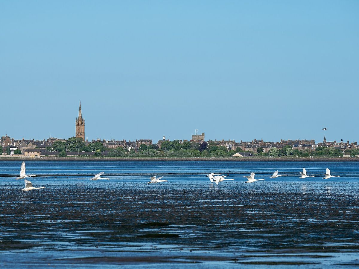 Montrose Basin