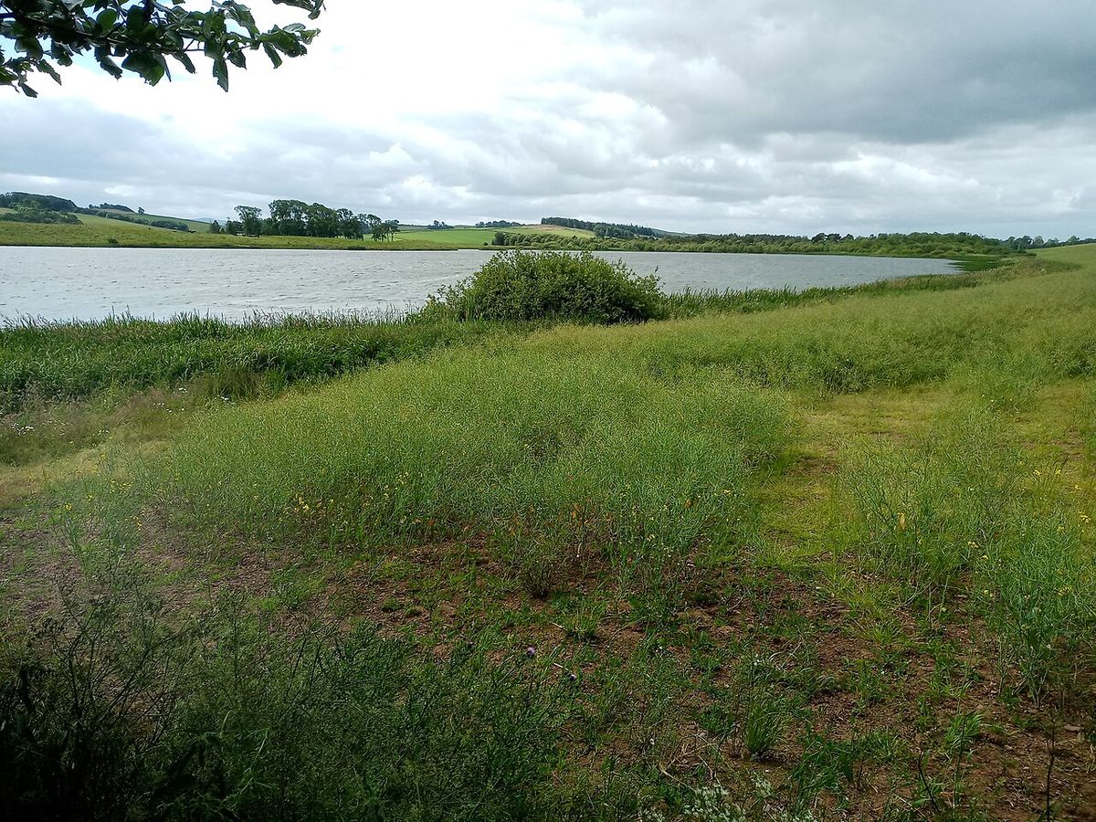 Hoselaw Loch and Din Moss