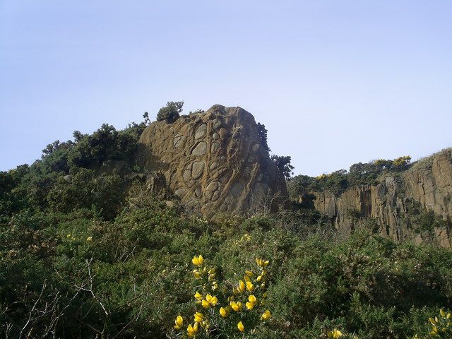Carlingnose Point