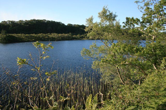 Taynish National Nature Reserve