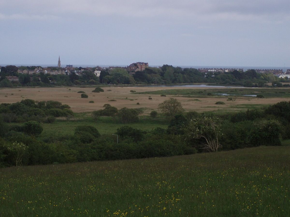Radipole Lake