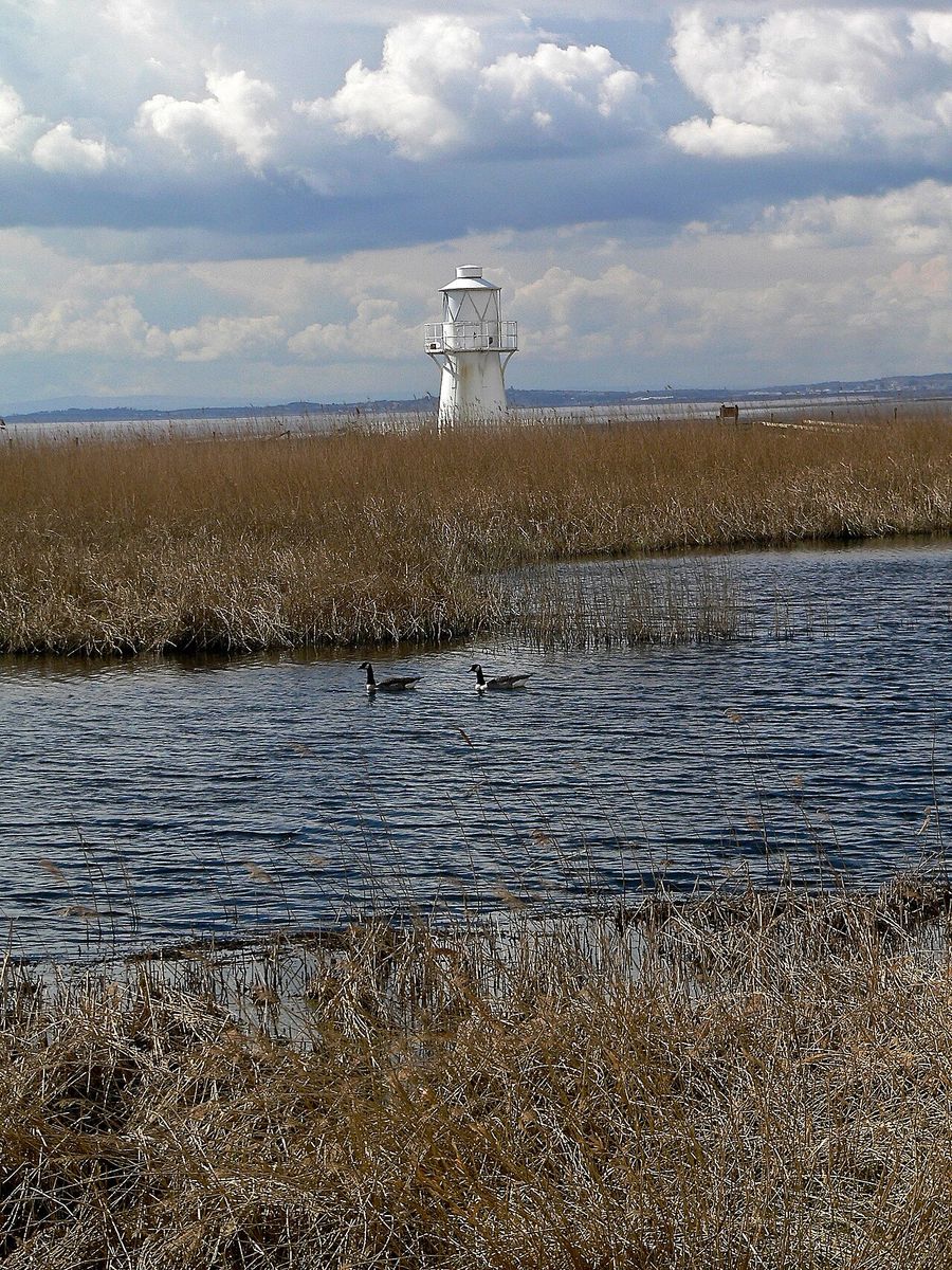 Newport Wetlands
