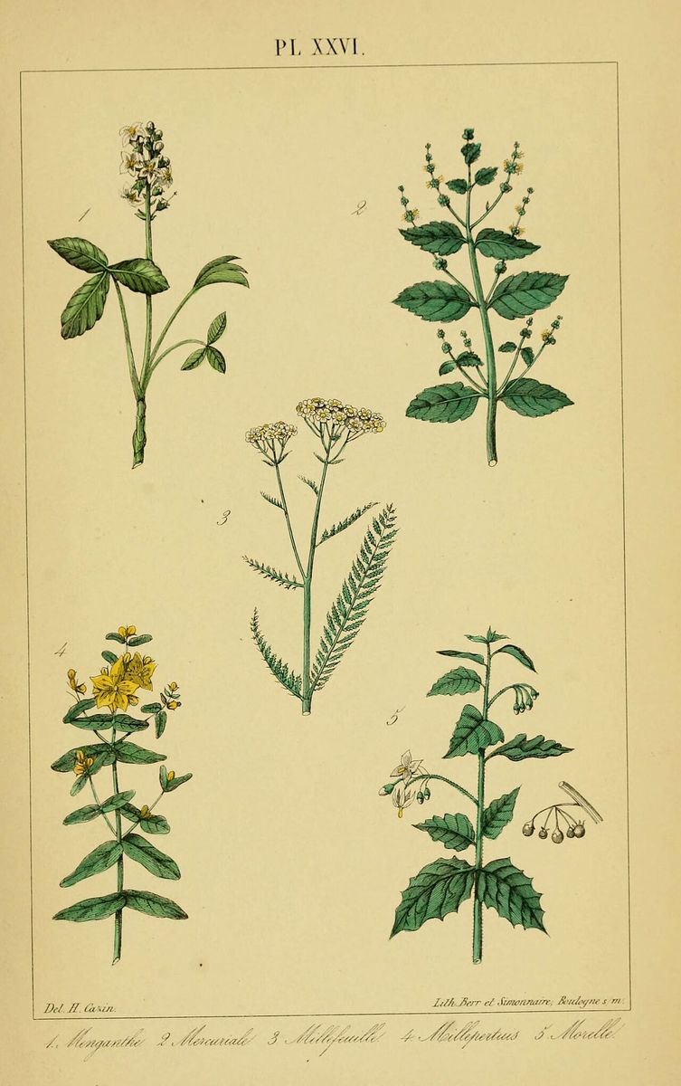 Annual Mercury