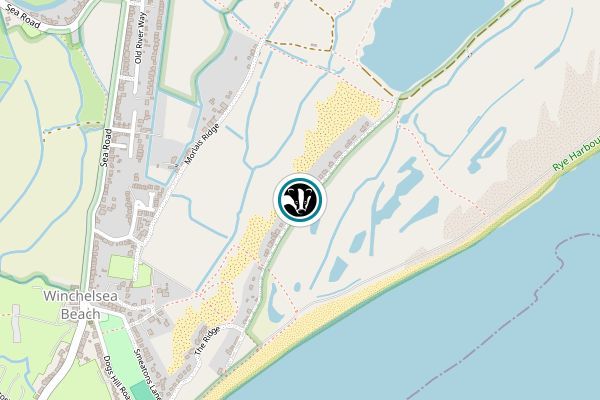 Rye Harbour Nature Reserve