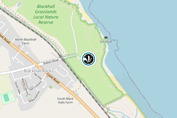 Blackhall Rocks & Cross Gill
