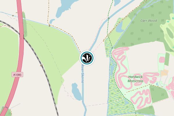 Bishop's Fen