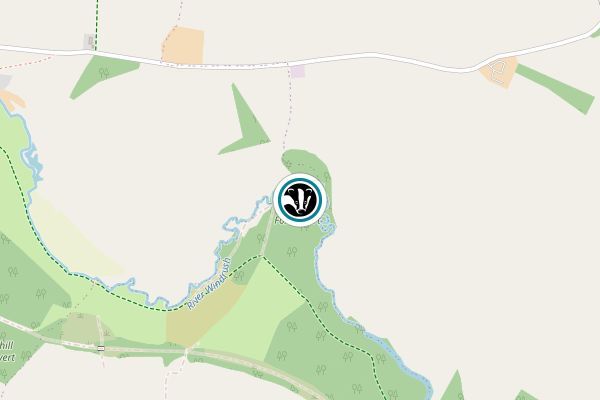 Brassey