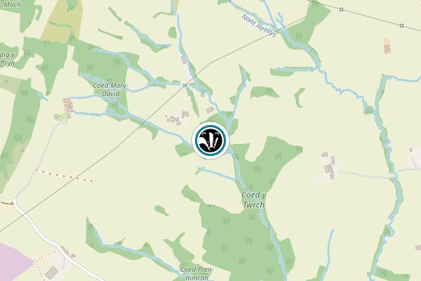 Henllys Bog
