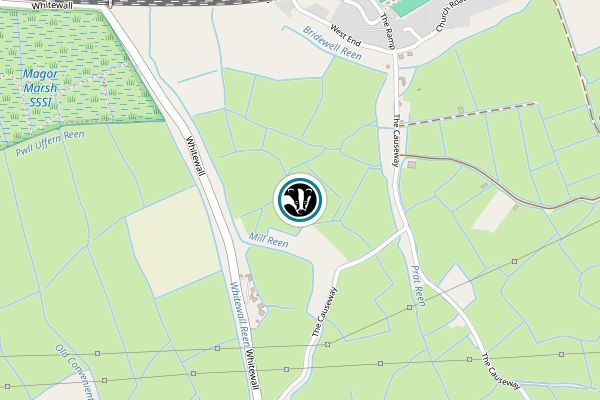 Bridewell Common