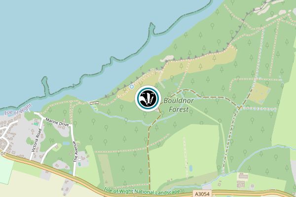 Bouldnor Forest Nature Reserve