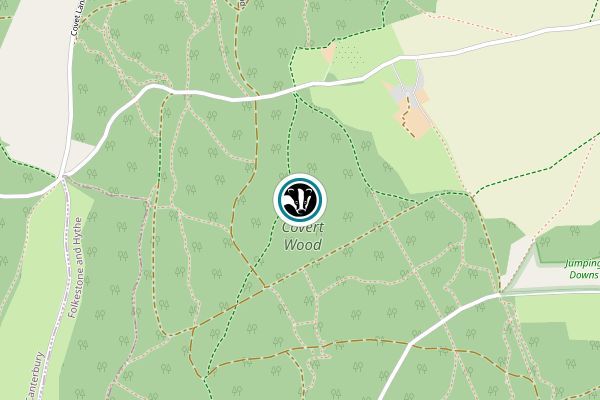 Covert Wood