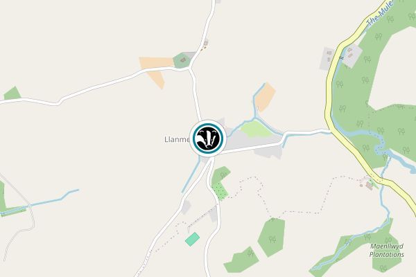 Llanmerewig Glebe
