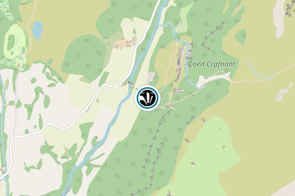 Coed Crafnant Nature Reserve
