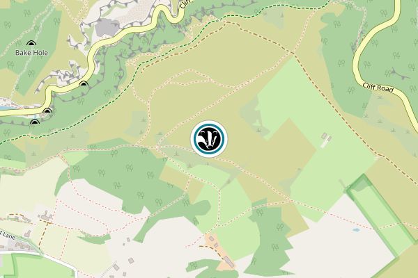Bubwith Acres