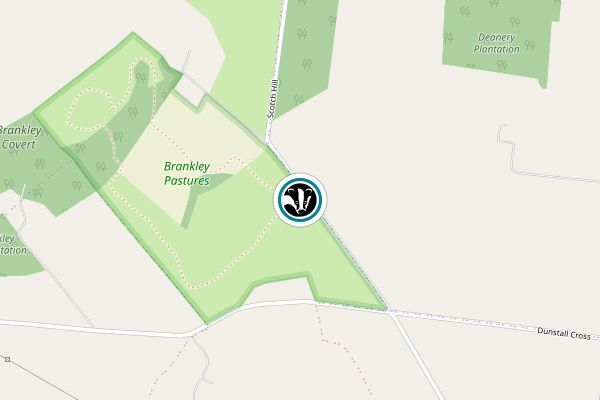 Brankley Pastures