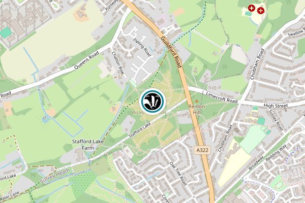 Bisley & West End Commons and Reidon Hill