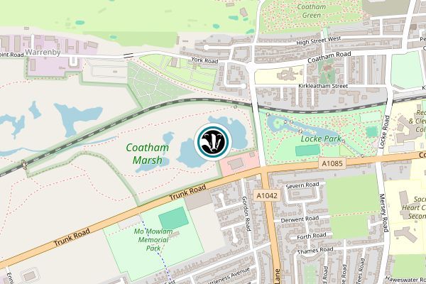 Coatham Marsh SSSI