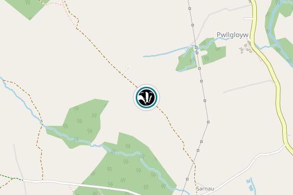 Cae Eglwys Nature Reserve