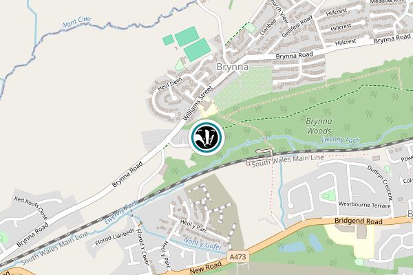 Brynna Woods and Llanharan Marsh