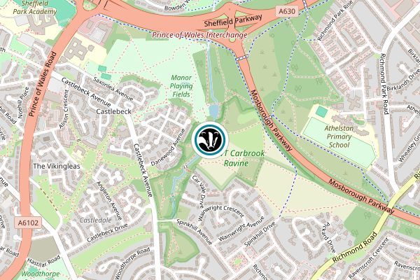 Carbrook Ravine