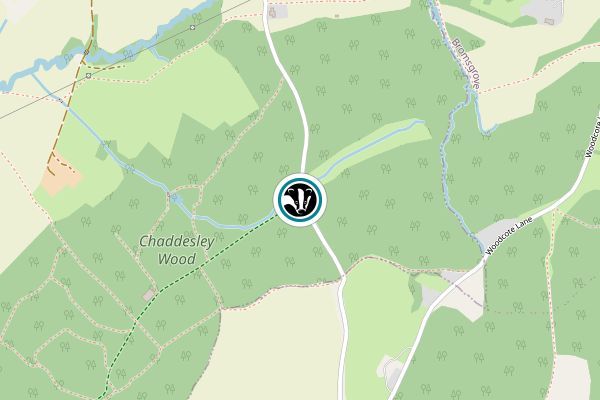 Chaddesley Woods National Nature Reserve